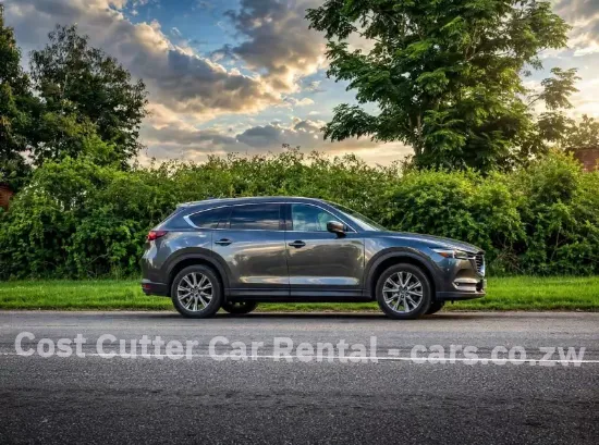 Picture of Mazda CX-8 6/7 seaters for hire!