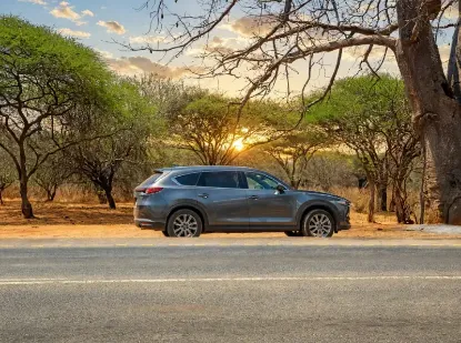 Picture of Three row Mazda CX-8s!