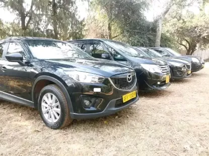 Picture of Mazda CX-5s for rental!