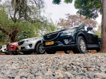 Picture of Mazda CX-5s for hire!