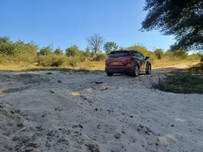 Picture of Mazda CX-5s for hire!