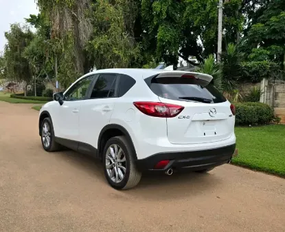 Picture of Mazda CX-5s for rental!