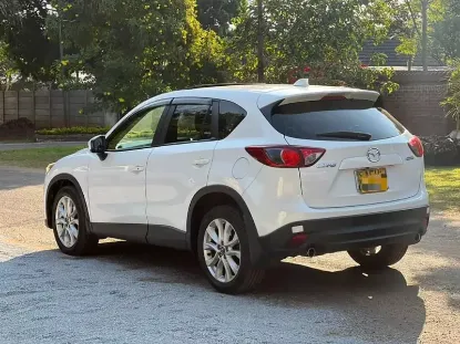 Picture of Mazda CX-5s for rental!