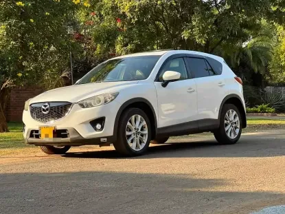 Picture of Mazda CX-5s for rental!
