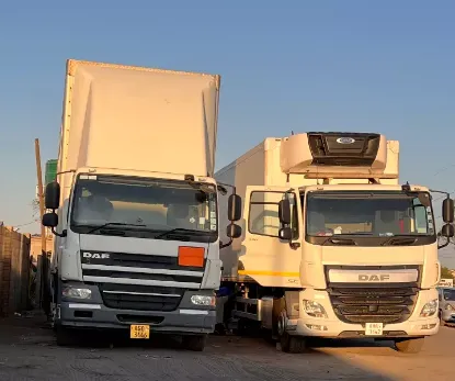 Picture of DAF 2013