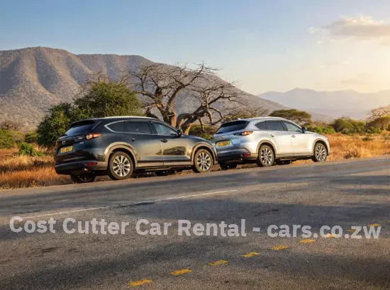 Picture of Six / Seven seater Mazda CX-8 for hire!