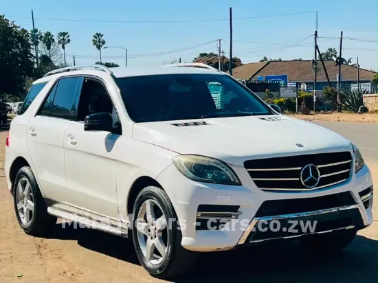 Picture of Mercedes Benz ML-Class 2013