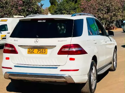 Picture of Mercedes Benz ML-Class 2013