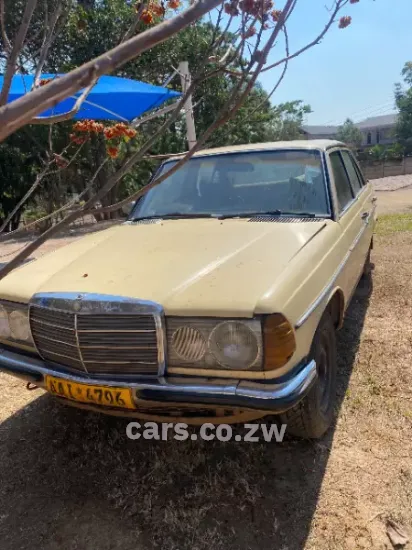 Picture of Mercedes Benz 240D 1981