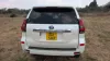 Picture of Toyota Prado 2021