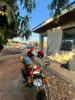 Picture of Honda Ace 110 2020
