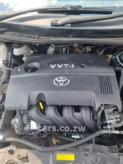 Picture of Toyota Axio 2009
