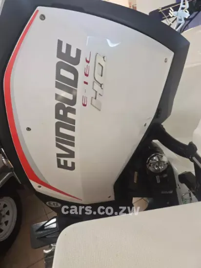 Picture of Evinrude G2 250 HO G2 250 2014