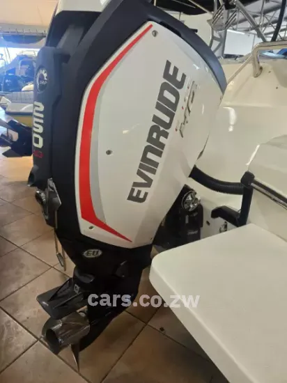Picture of Evinrude G2 250 HO G2 250 2014