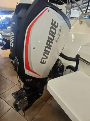 Picture of Evinrude G2 250 HO G2 250 2014