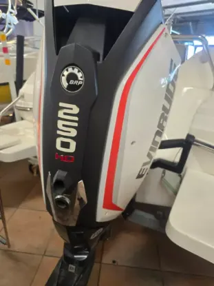 Picture of Evinrude G2 250 HO G2 250 2014