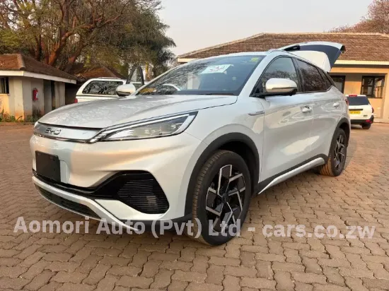 Picture of Byd Atto 2014