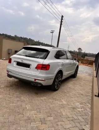 Picture of Bentley 2018