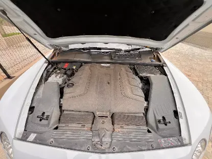 Picture of Bentley 2018