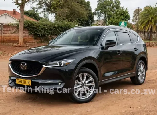 Picture of Luxury SUVs - Mazda CX-8, Hyundai Santa Fe (7 Seaters), Tucson For Hire!! From